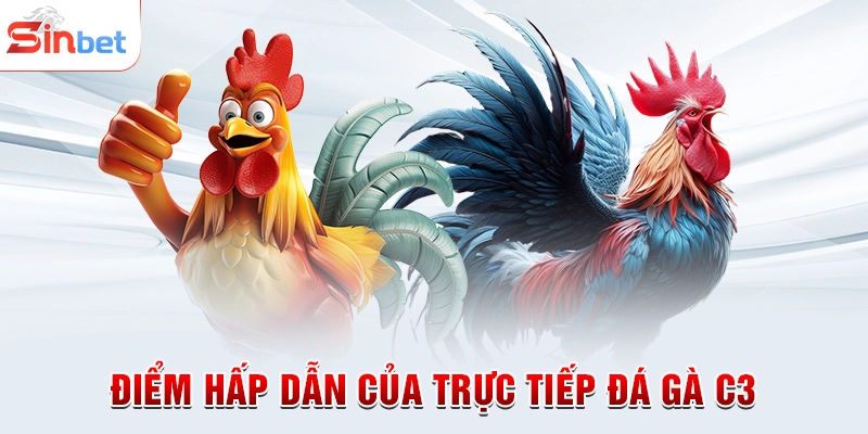 Điểm hấp dẫn của trực tiếp đá gà C3