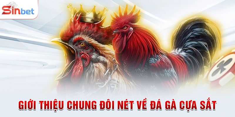 Giới thiệu chung đôi nét về đá gà cựa sắt