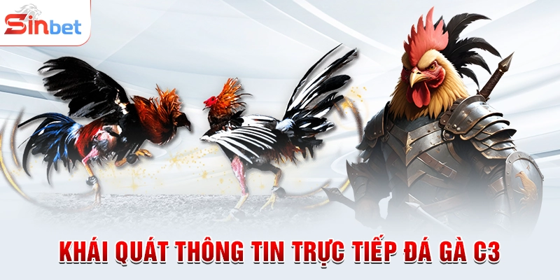 Khái quát thông tin trực tiếp đá gà C3