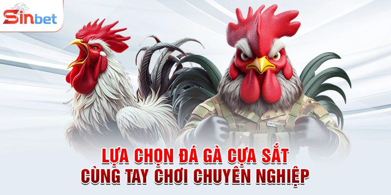 Lựa Chọn Đá Gà Cựa Sắt Cùng Tay Chơi Chuyên Nghiệp
