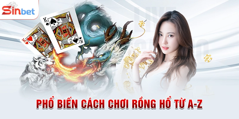 Phổ biến cách chơi Rồng Hổ từ A-Z