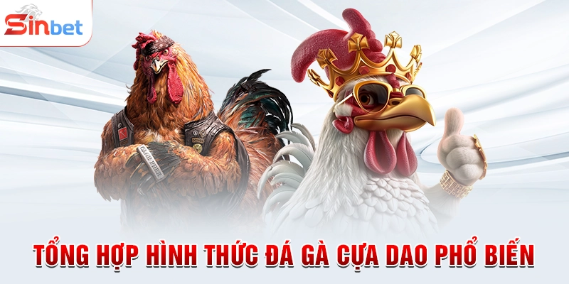 Tổng hợp hình thức đá gà cựa dao phổ biến
