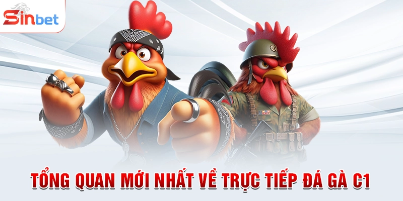 Tổng quan mới nhất về trực tiếp đá gà C1