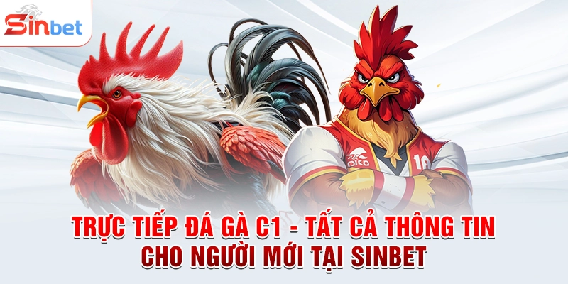 Trực Tiếp Đá Gà C1 - Tất Cả Thông Tin Cho Người Mới Tại sinbet