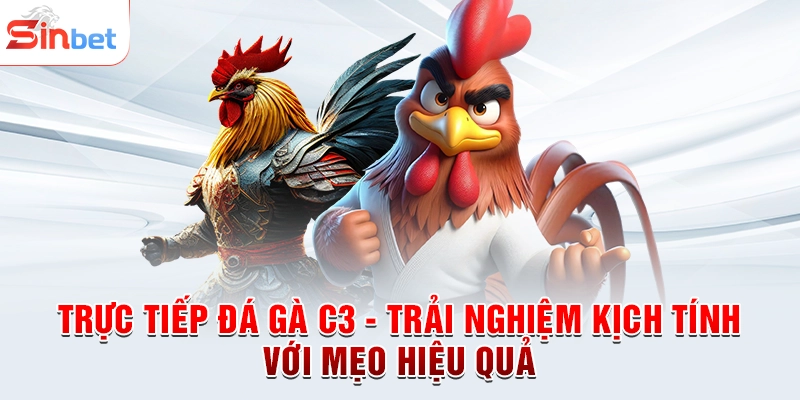 Trực Tiếp Đá Gà C3 - Trải Nghiệm Kịch Tính Với Mẹo Hiệu Quả